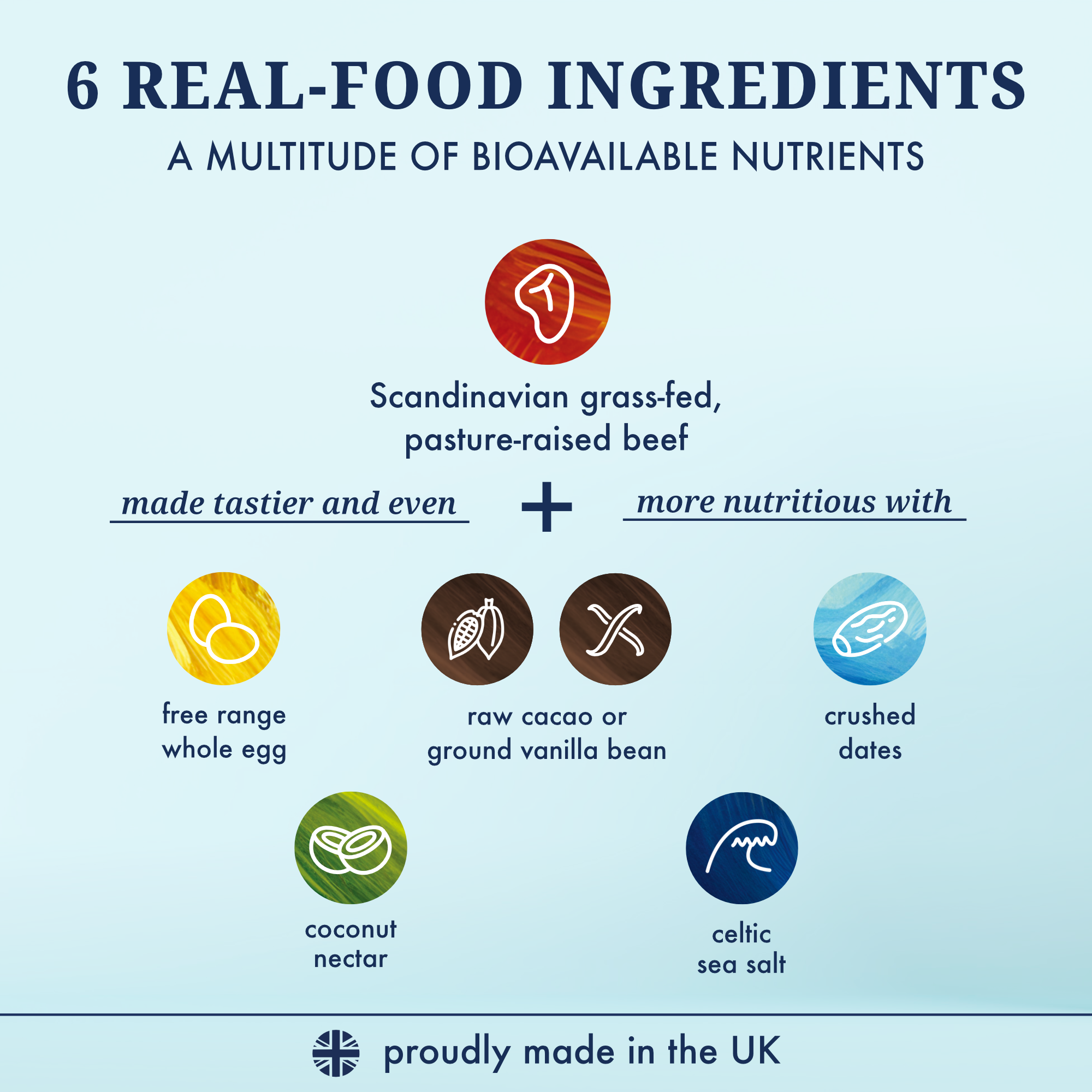 Onyst Whole Food Protein Powder