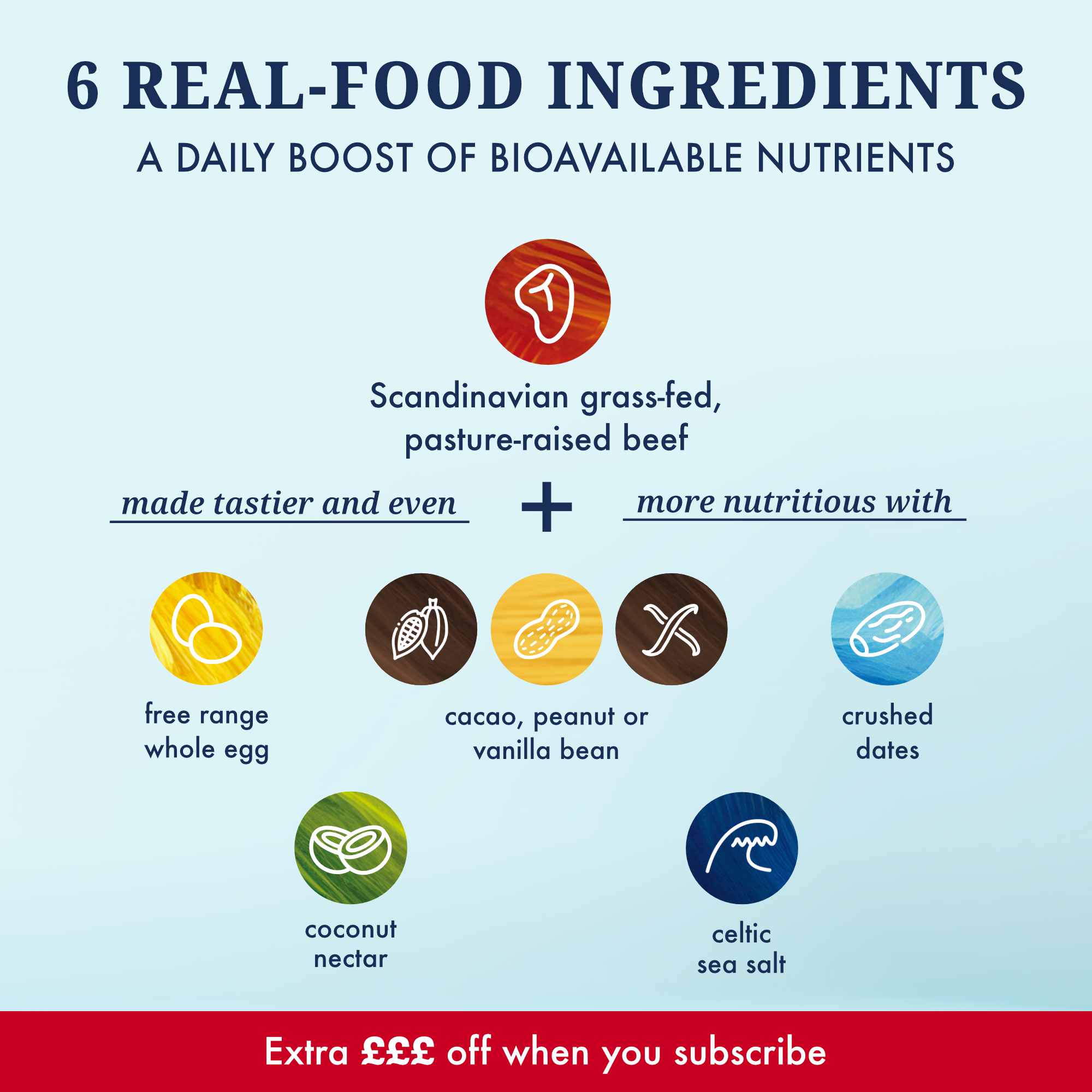 Onyst Whole Food Protein Powder