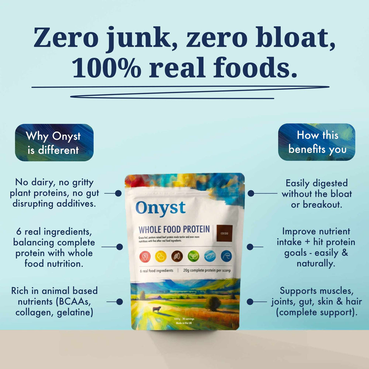 Onyst Whole Food Protein Powder