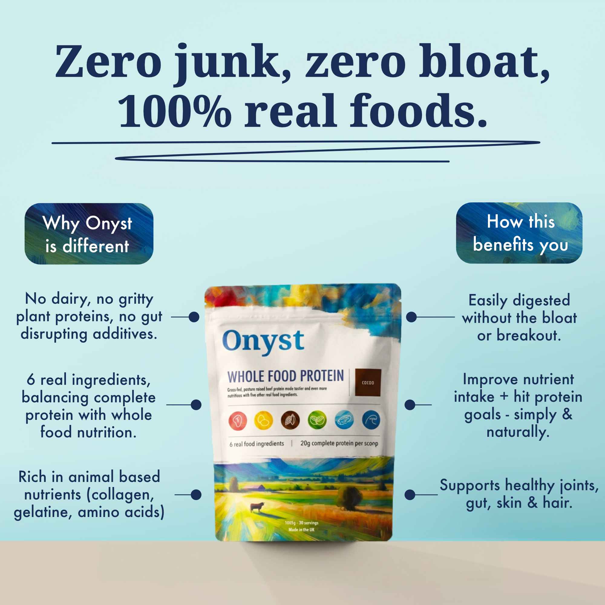 Onyst Whole Food Protein Powder